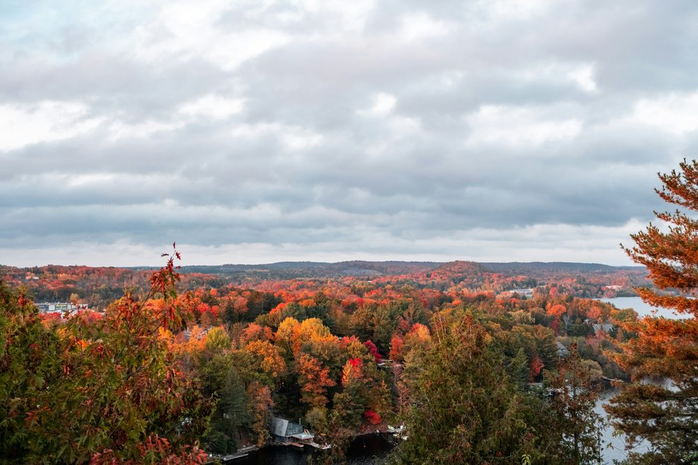 Algonquin Provincial Park, ON