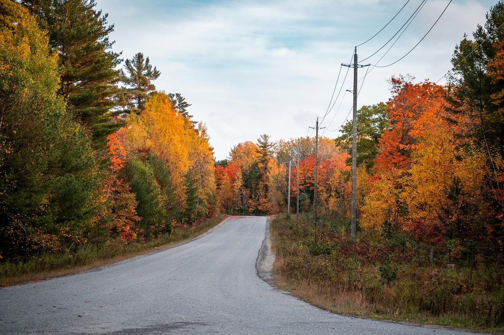 Algonquin Provincial Park, ON