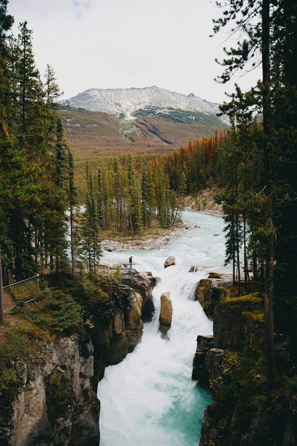Athabasca Falls, AB
