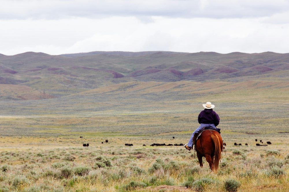 Bar U Ranch National Historic Site, AB