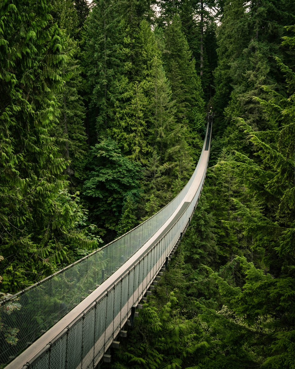 Capilano Suspension Bridge, North Vancouver, BC