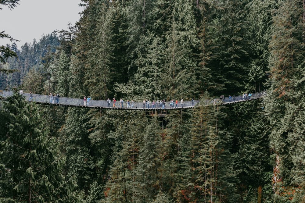 Capilano Suspension Bridge, North Vancouver, BC