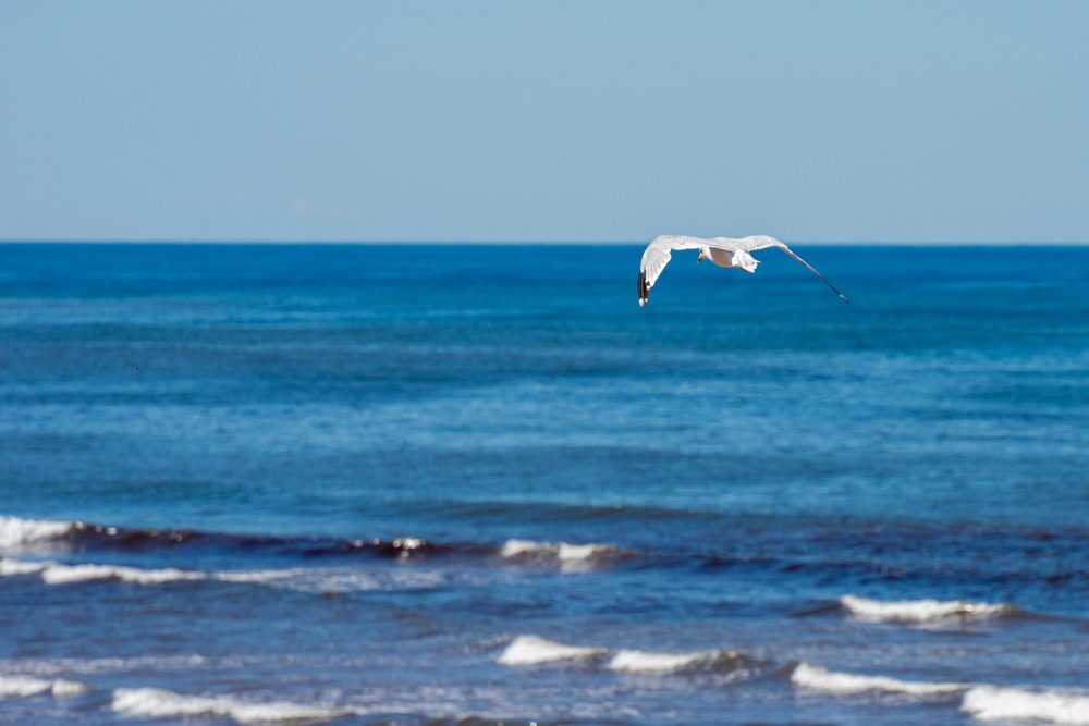 Cavendish, PE