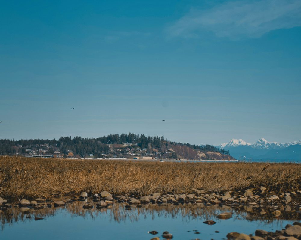 Cowichan Valley (Duncan), BC