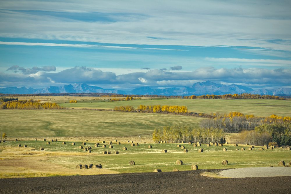 Cypress Hills (Elkwater), AB