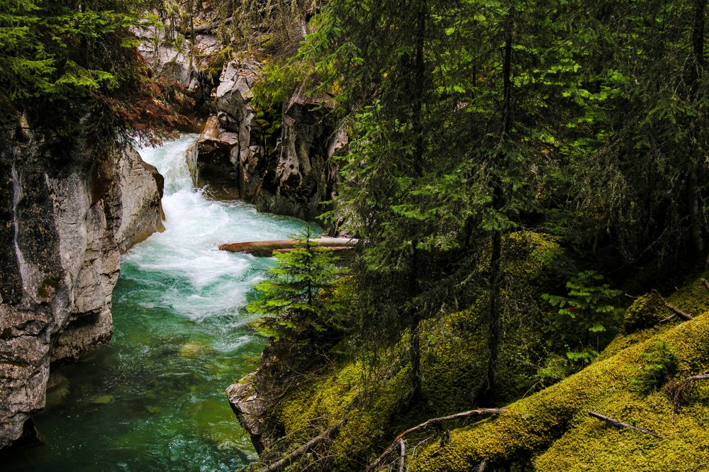 Grotto Canyon, AB