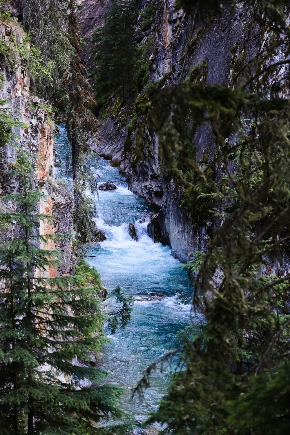 Grotto Canyon, AB
