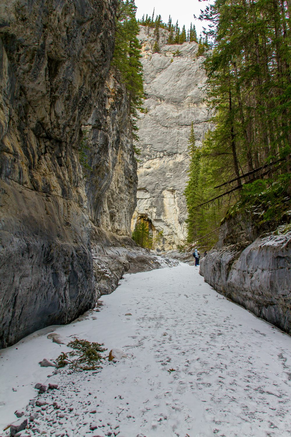 Grotto Canyon, AB