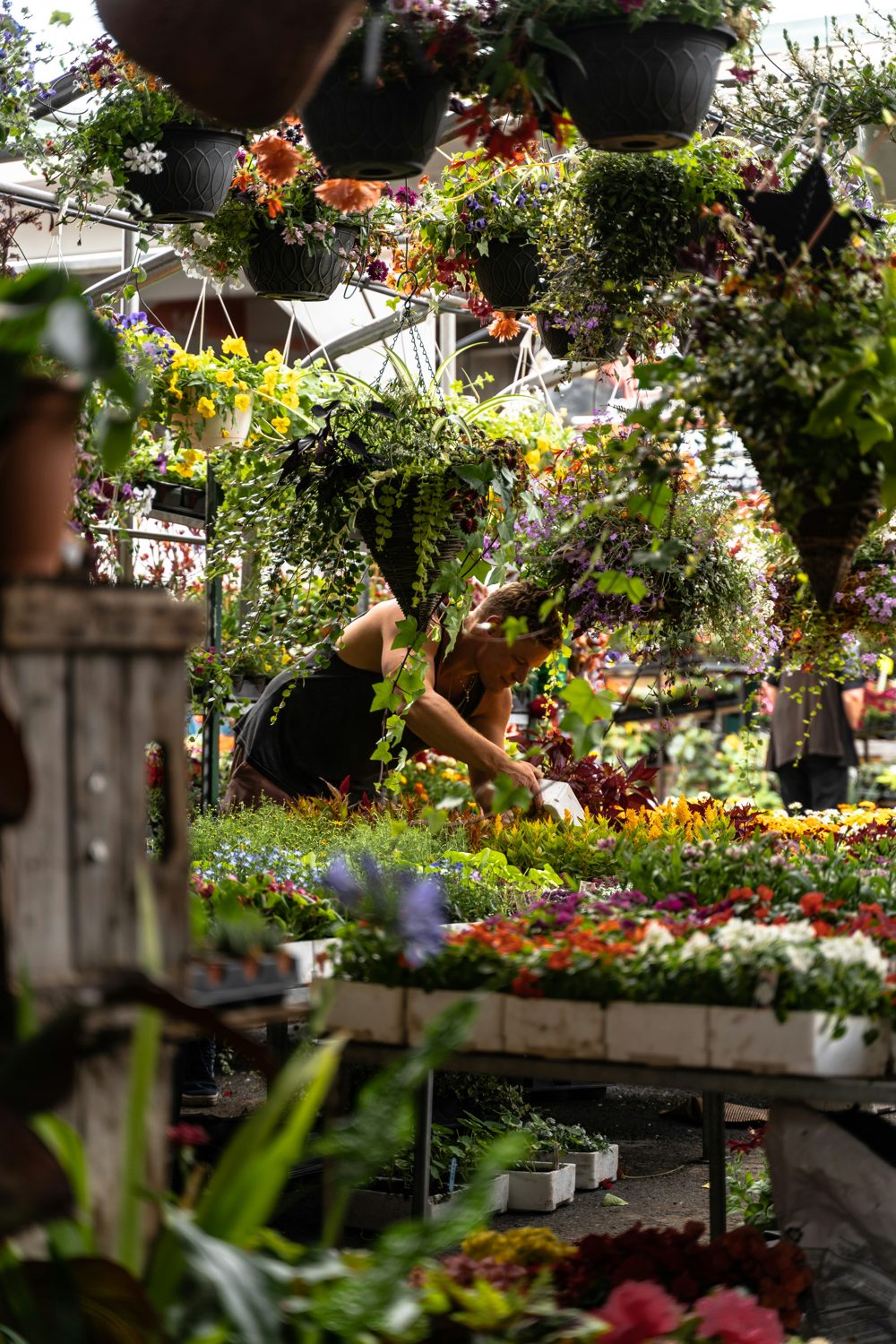 Jean-Talon Market, Montreal, QC