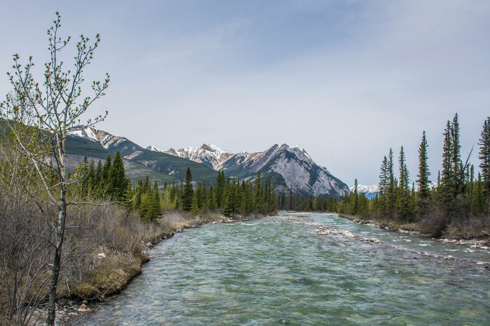 Kootenay Plains, AB