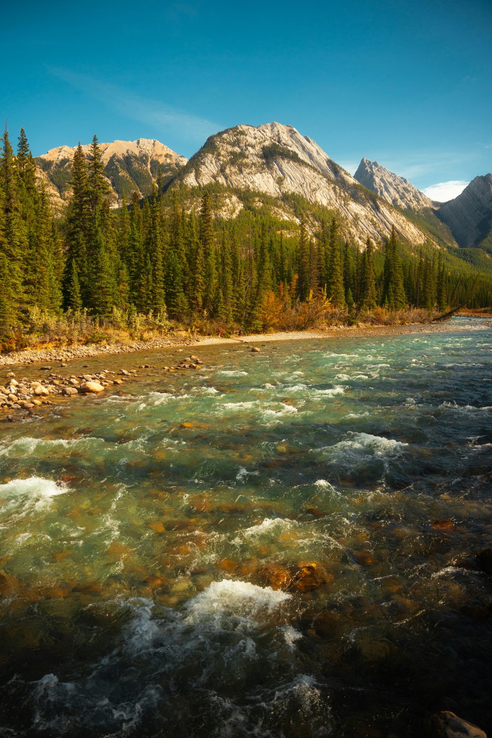 Kootenay Plains, AB