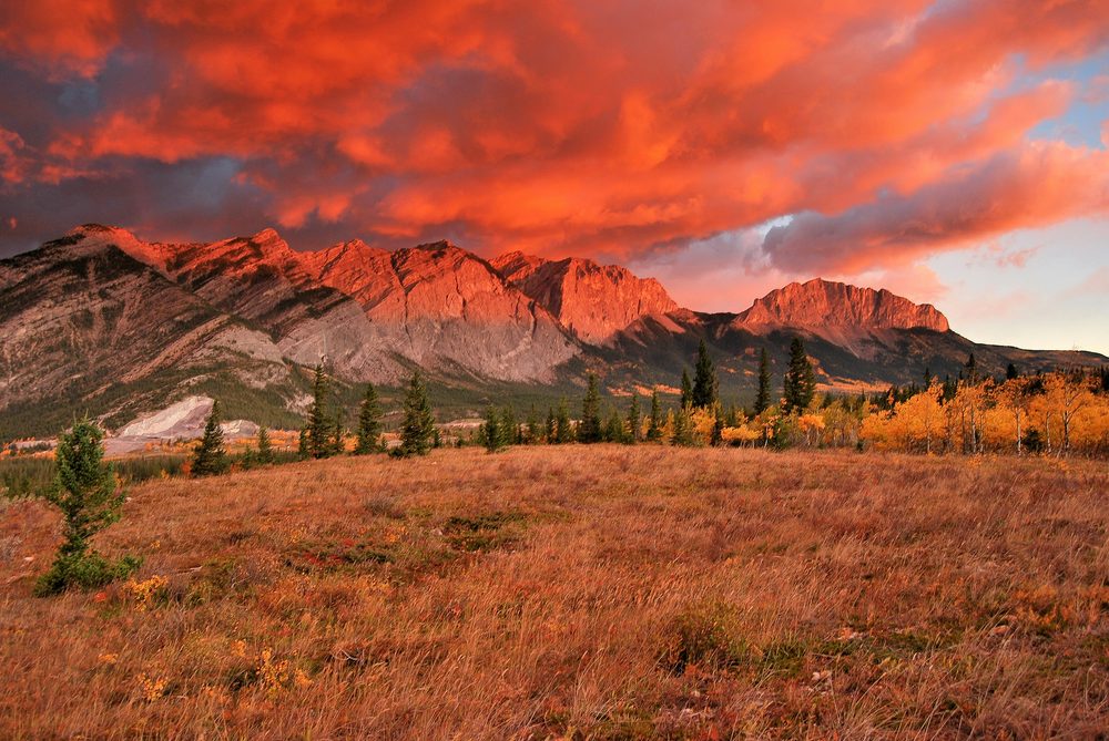 Longview, AB