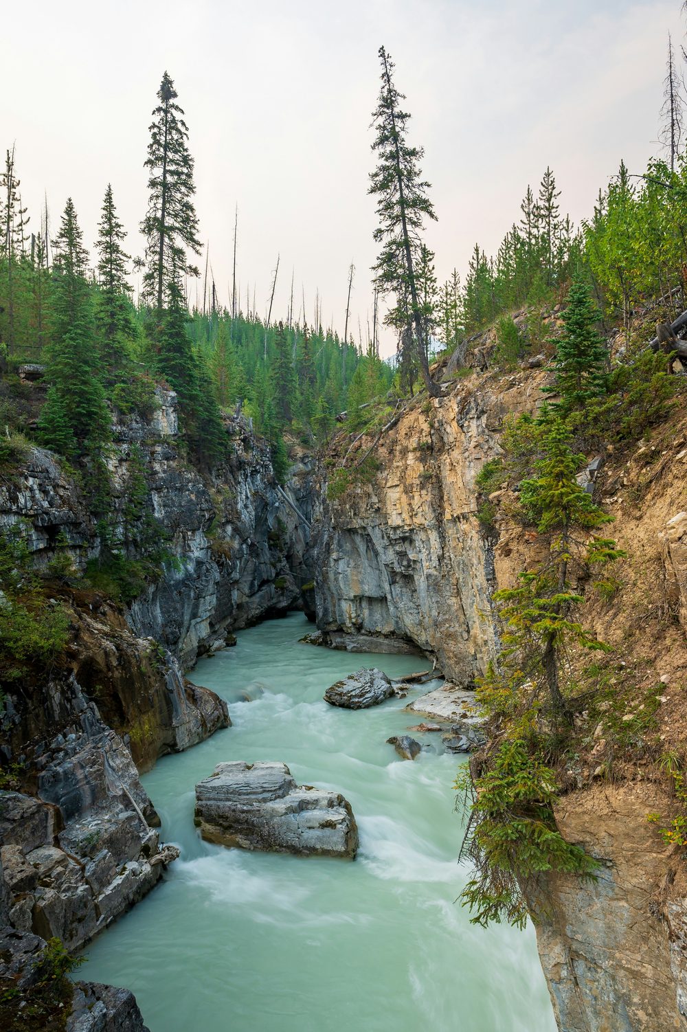 Marble Canyon, Kootenay NP, BC