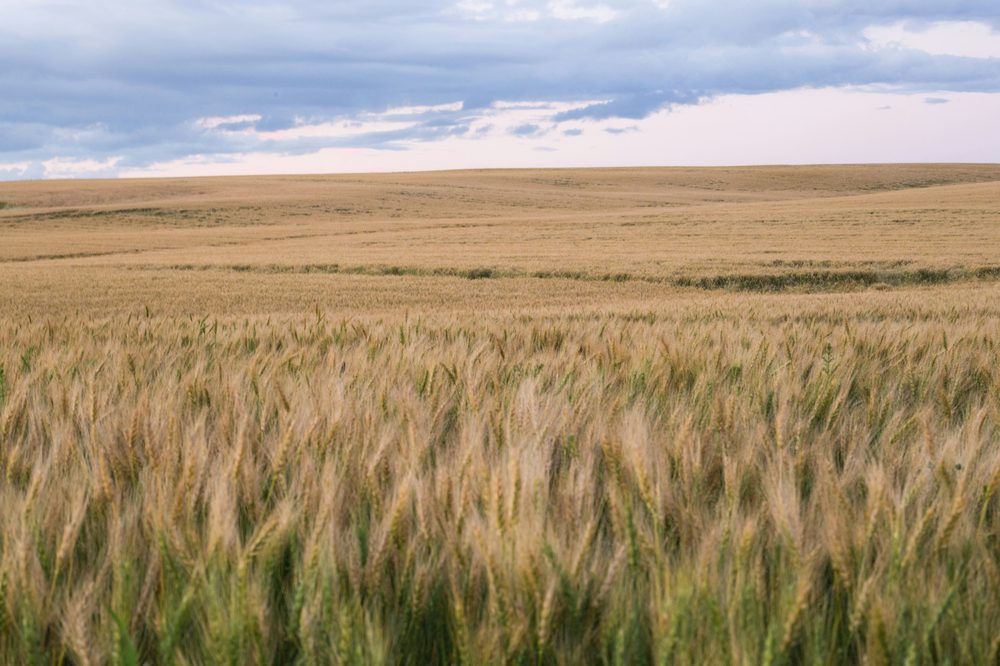 Medicine Hat, AB