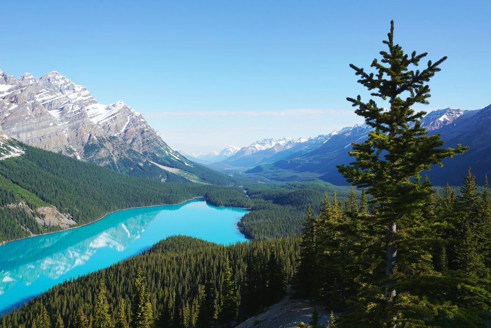 Peyto Lake, AB