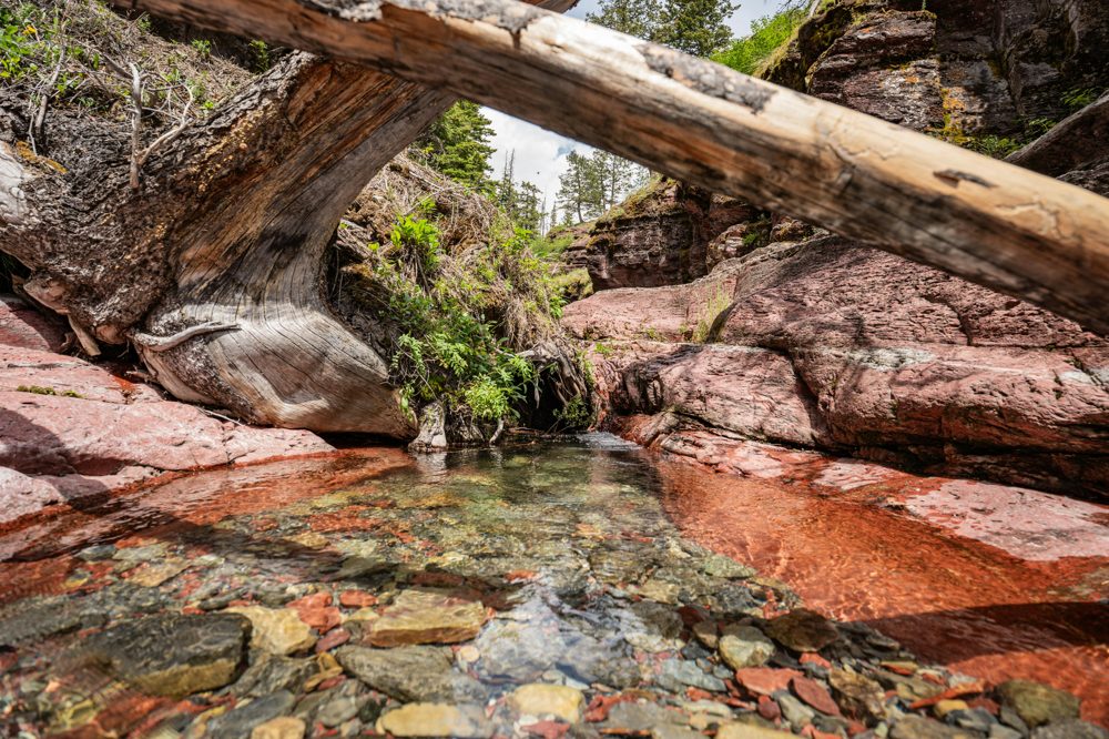 Red Rock Canyon, AB