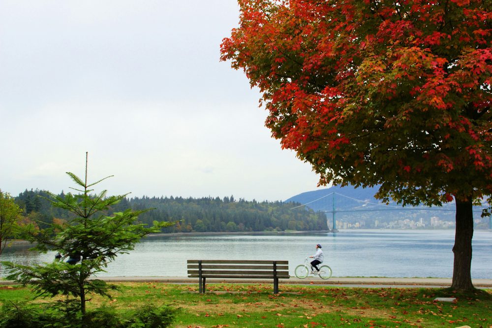 Stanley Park, Vancouver, BC