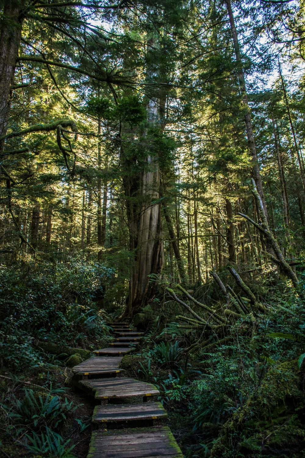 Tofino, BC