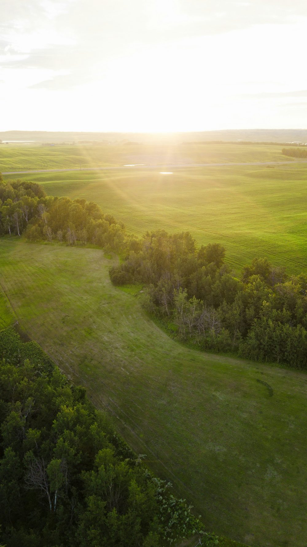 Waskasoo Park, AB
